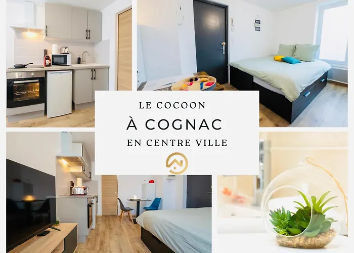 Cocoon, Calme Au Centre-ville De Cognac, Proche Commerces Et Charente Appartement Cognac